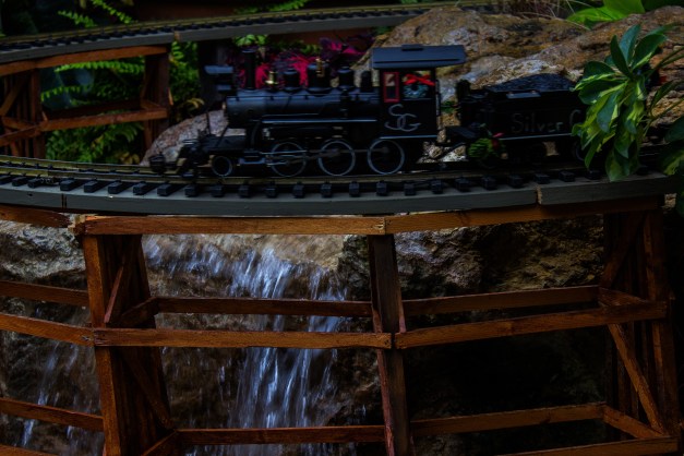 20141130-IMG_0091-Edit-Edit