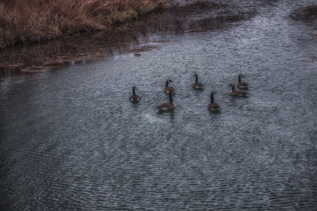 20141130-IMG_0179-Edit