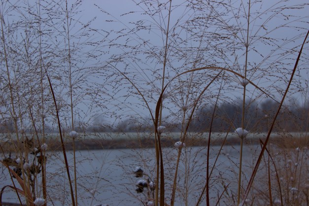 20141218-IMG_0202-Edit