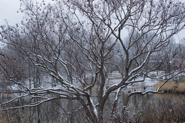 20141218-IMG_0238-Edit