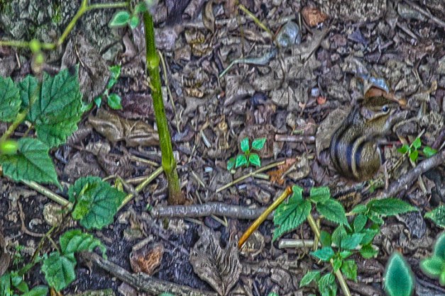 20140927-IMG_0048-Edit