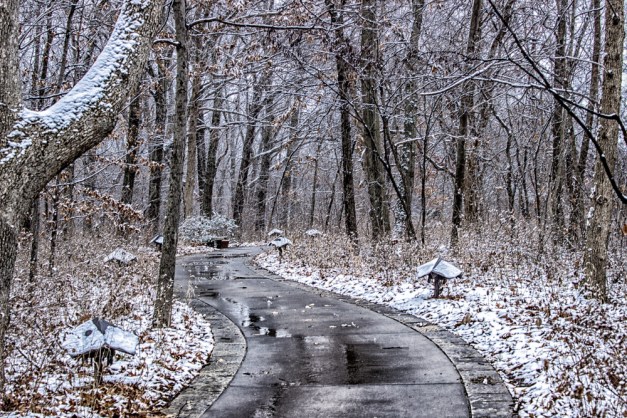 20141218-IMG_0151-Edit-Edit-Edit-Edit