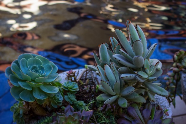 20150110-IMG_0024-Edit