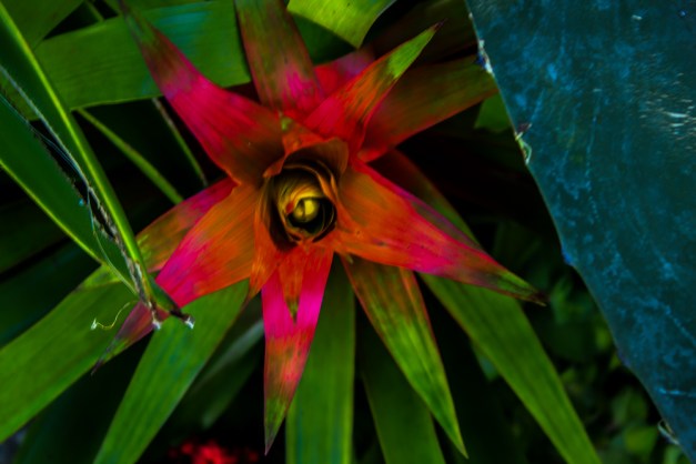 20150110-IMG_0051-Edit-Edit