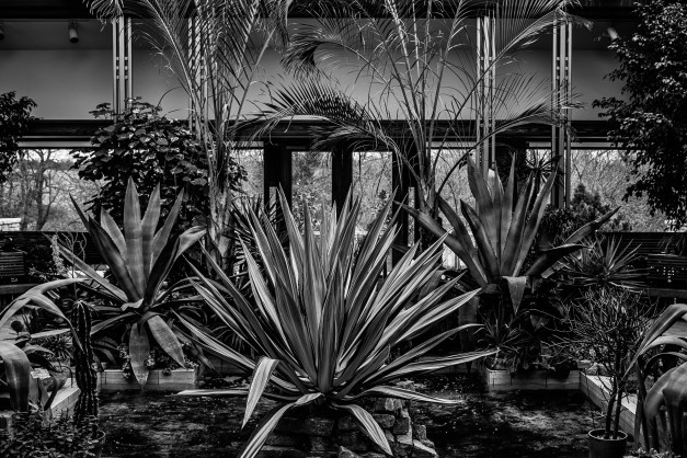 20150117-IMG_0057-Edit-Edit