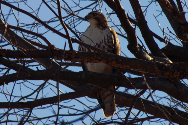 20150118-IMG_0092-Edit-Edit