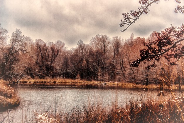 20141218-IMG_0260-Edit-Edit-Edit-Edit