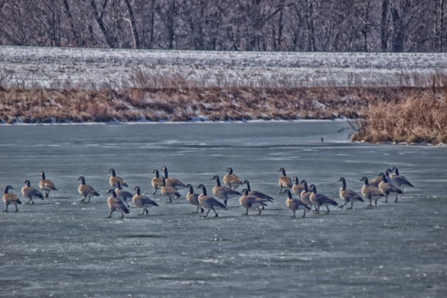 20150221-IMG_0162-Edit