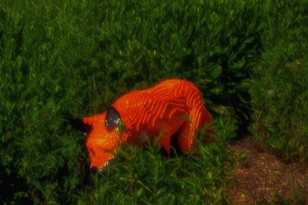 20130630-IMG_0501-Edit-Edit-Edit-Edit