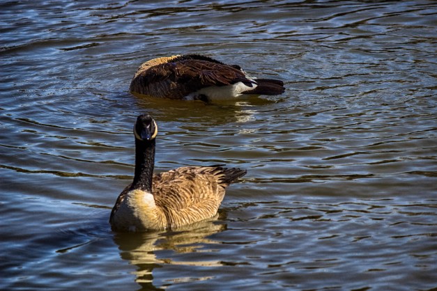 20150404-IMG_0360-Edit-Edit