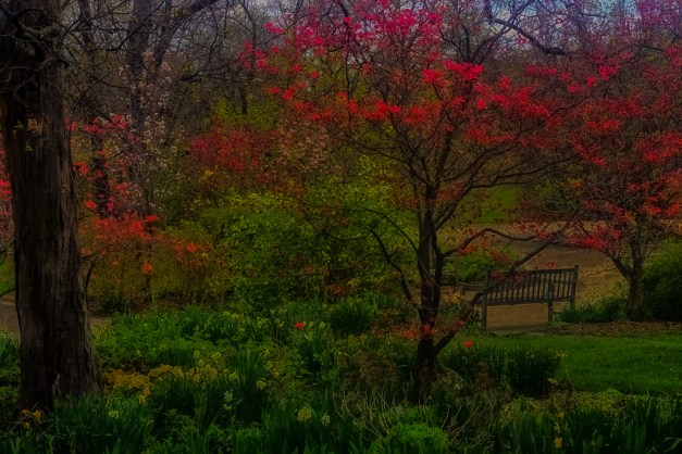 20150416-IMG_0157-Edit-Edit-Edit