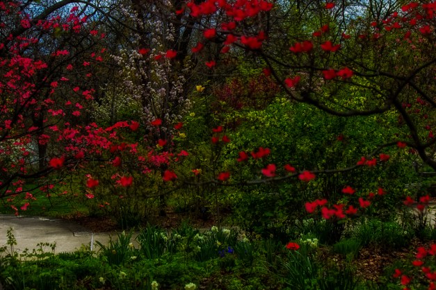 20150417-IMG_0019-Edit-Edit-Edit