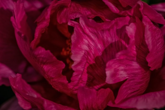 20150426-IMG_0307-Edit