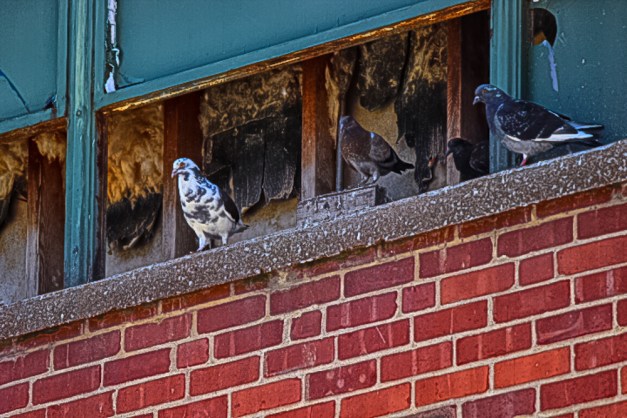 20140704-IMG_0286-Edit-Edit