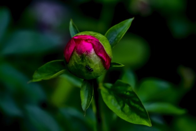 20150510-IMG_0435-Edit-Edit-Edit