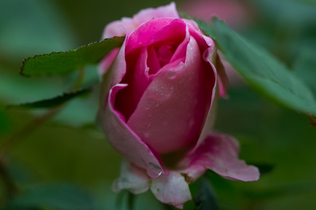 20150510-IMG_0485-Edit