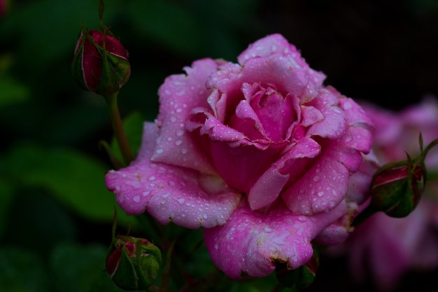 20150524-IMG_0056-Edit