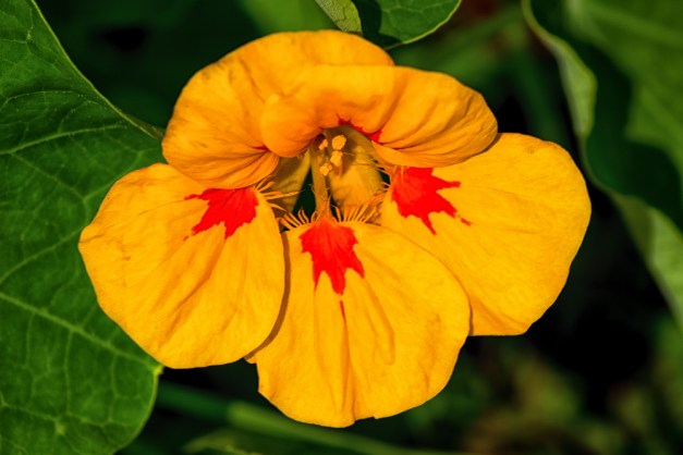 20150607-IMG_0145-Edit-Edit