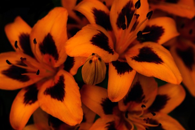 20150614-IMG_0928-Edit