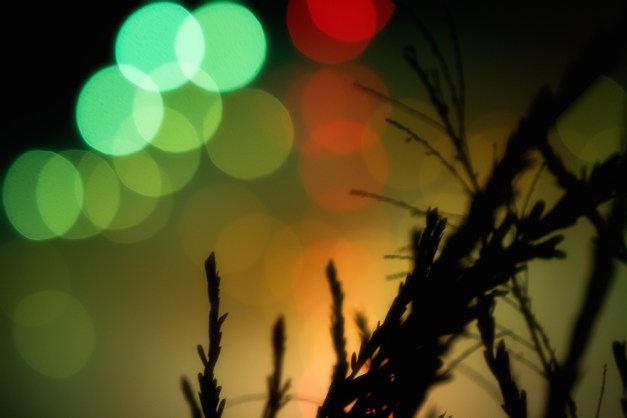 20150703-IMG_0190-Edit-Edit