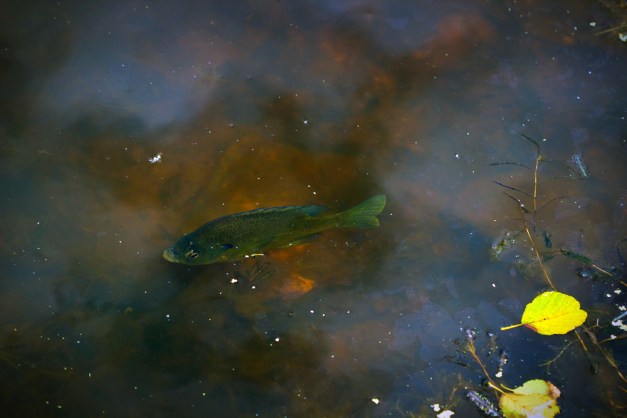 20150726-IMG_0205-Edit