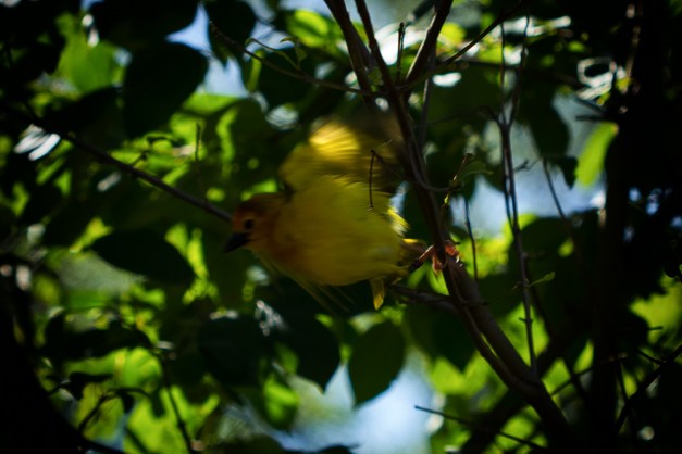 20150731-IMG_0376-Edit