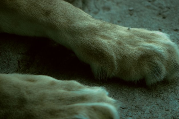 20150731-IMG_0507-Edit