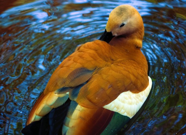 20150731-IMG_0791-Edit