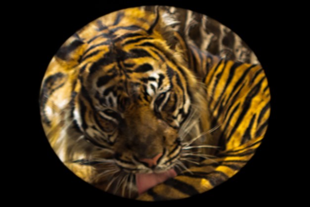 20150731-IMG_0834-Edit