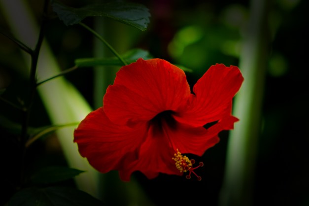 20150906-IMG_0193-Edit