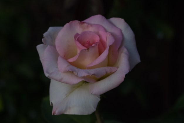 20150915-IMG_0813-Edit