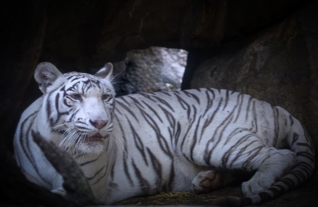 20150916-IMG_0205-Edit