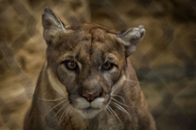 20150916-IMG_0314-Edit