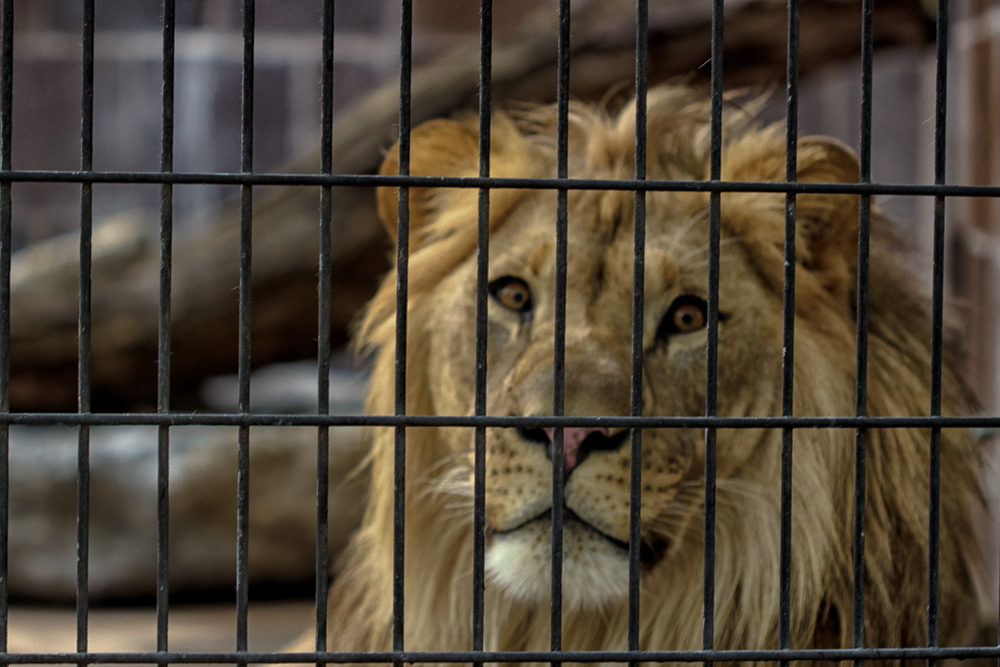 20150916-IMG_0354-Edit-Edit