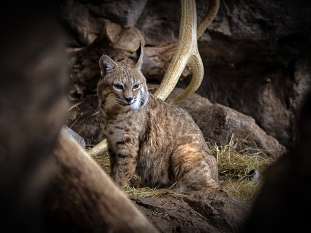 20150916-IMG_1268-Edit