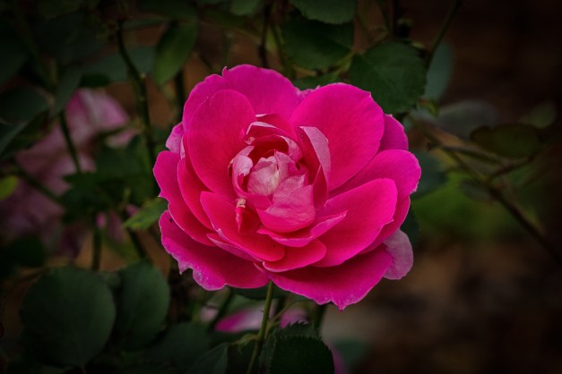 20151018-IMG_0165-Edit