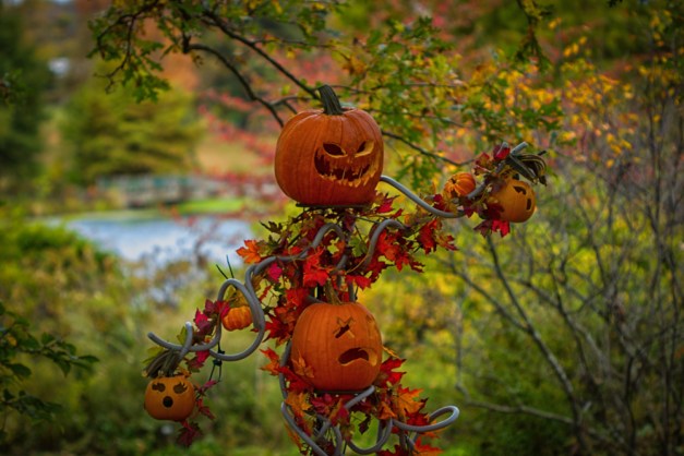 20151018-IMG_0263-Edit-Edit