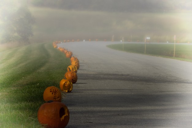 20151018-IMG_0296-Edit-Edit