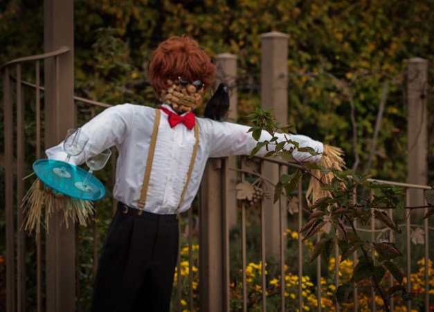 20151018-IMG_0366-Edit