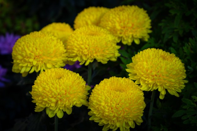 20151025-IMG_0058-Edit