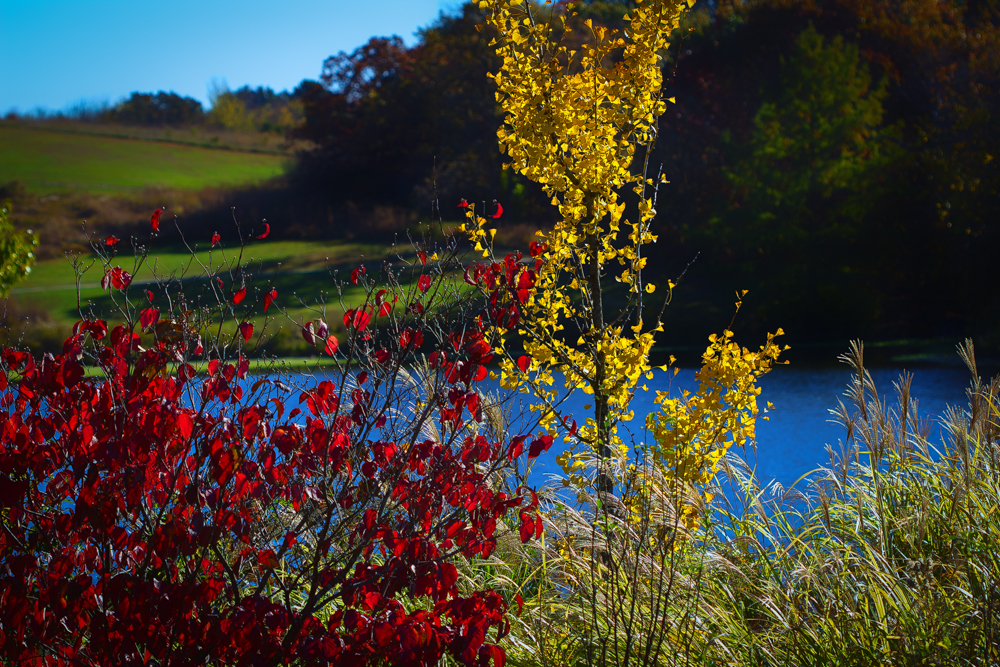 20151025-IMG_0205-Edit-Edit