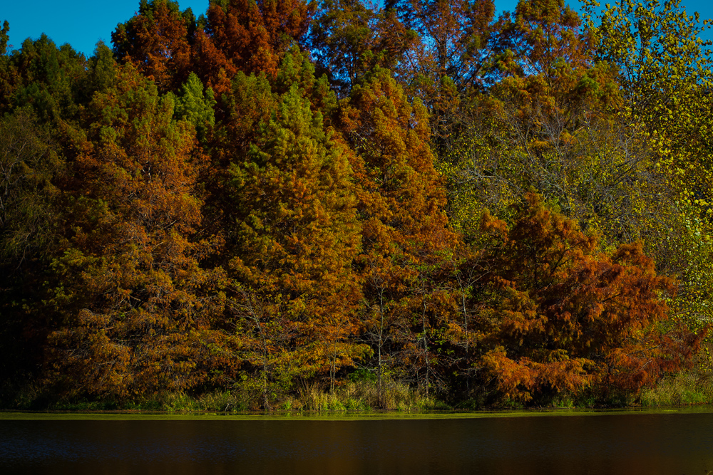 20151101-IMG_0061-Edit