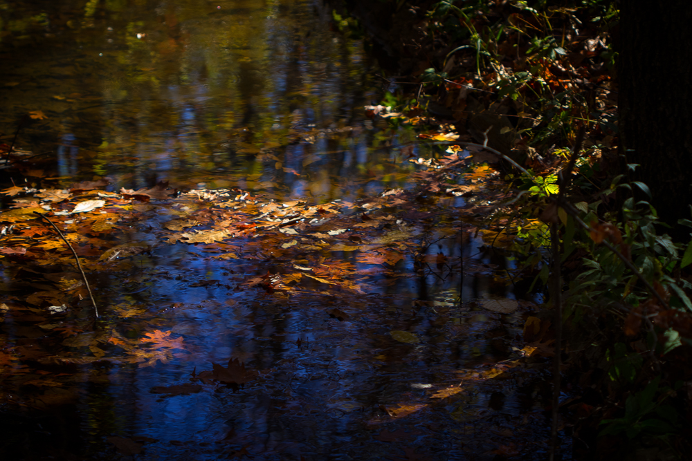 20151101-IMG_0148-Edit