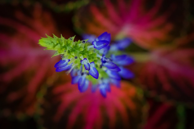 20151101-IMG_0200-Edit