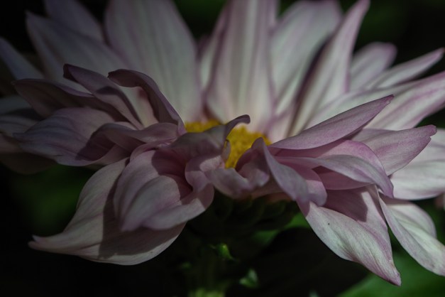 20151101-IMG_0214-Edit-Edit