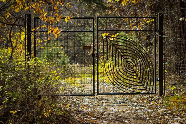 20151106-IMG_0279-Edit