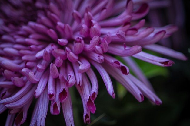 20151108-IMG_0030-Edit