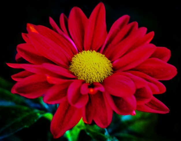 20151108-IMG_0069-Edit-Edit