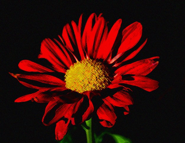 20151108-IMG_0072-2 Edit-Edit