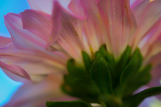 20151108-IMG_0081-Edit-Edit